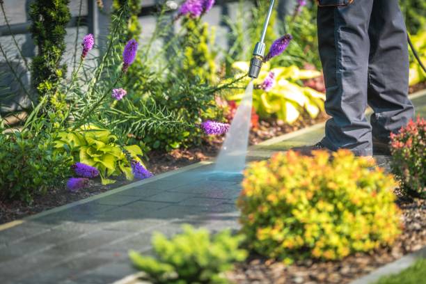 Professional Pressure Washing Services in Laurel, MT